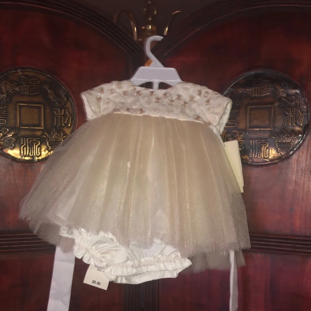 Beautiful Infant Dress - Picture 1 of 8